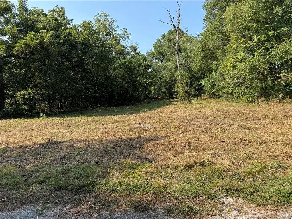 TBD Spring Avenue, Sulphur Springs, AR 72768 - #1
