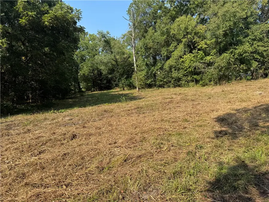 TBD Spring Avenue, Sulphur Springs, AR 72768 - #2
