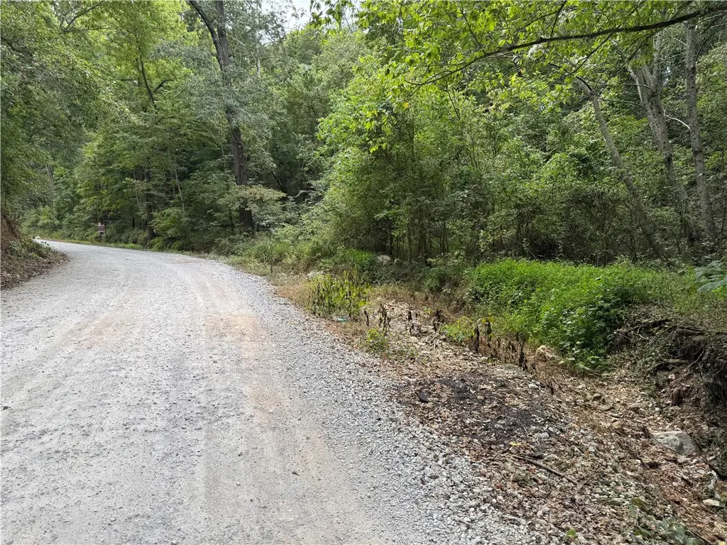 Lott Road, Elm Springs, AR 72762 - #1