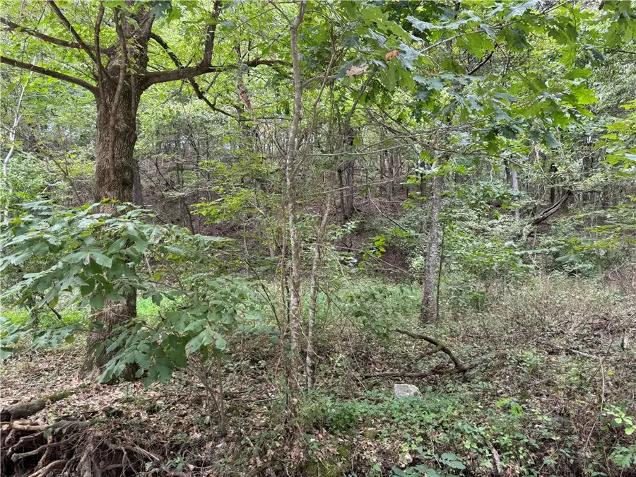 Lott Road, Elm Springs, AR 72762 - #2