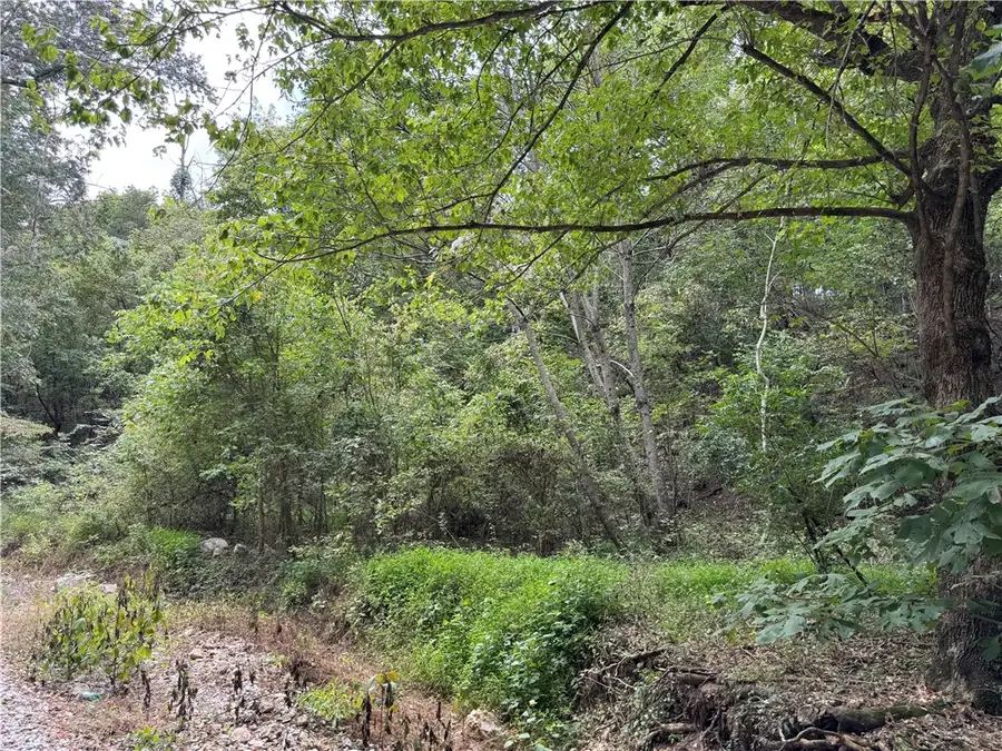 Lott Road, Elm Springs, AR 72762 - #3