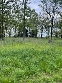 3 Check's Corner Road, Sulphur Springs, AR 72768 - #3