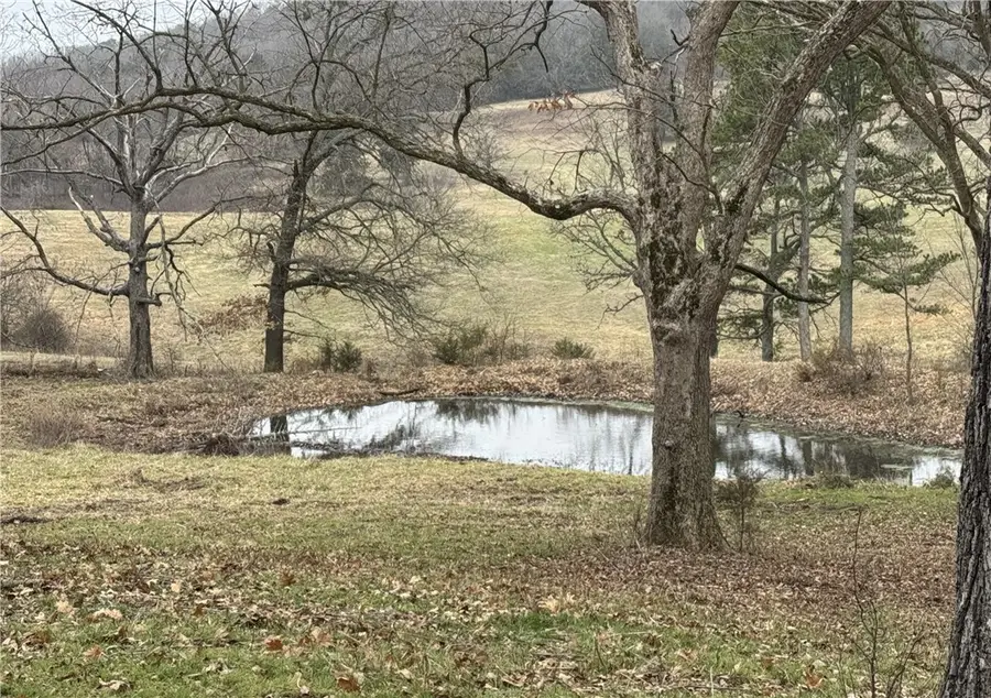 Tract B Nicewarner Road, Lincoln, AR 72744 - #3