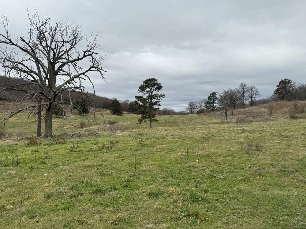 Tract D Nicewarner Road, Lincoln, AR 72744 - #1