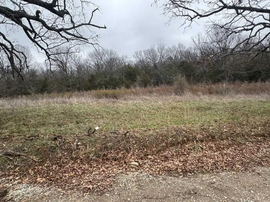 Tract D Nicewarner Road, Lincoln, AR 72744 - #2