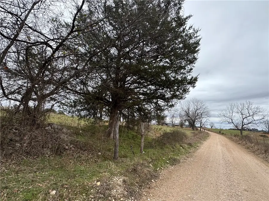 Tract D Nicewarner Road, Lincoln, AR 72744 - #3