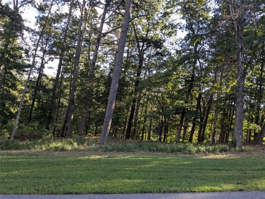 14 Pine Crest Lane, Eureka Springs, AR 72632 - #2