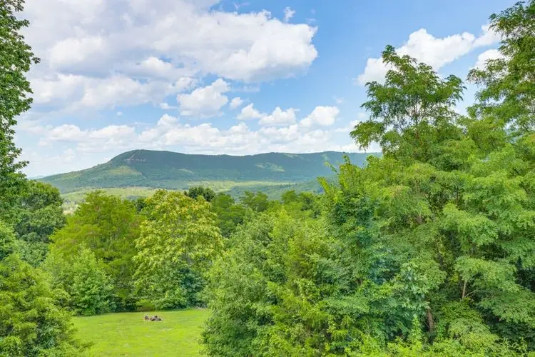 263 Nc 8466, Parthenon, AR 72666 - #3