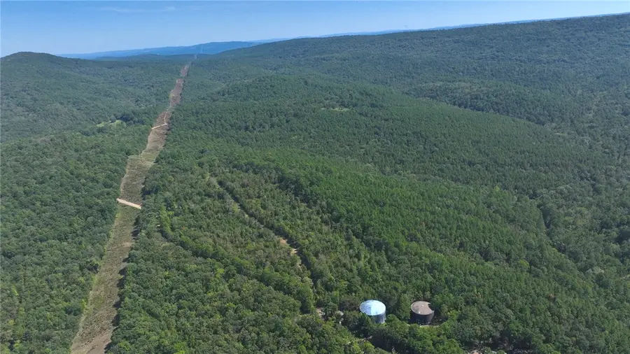 Peeler Gap Road, Danville, AR 72827 - #3