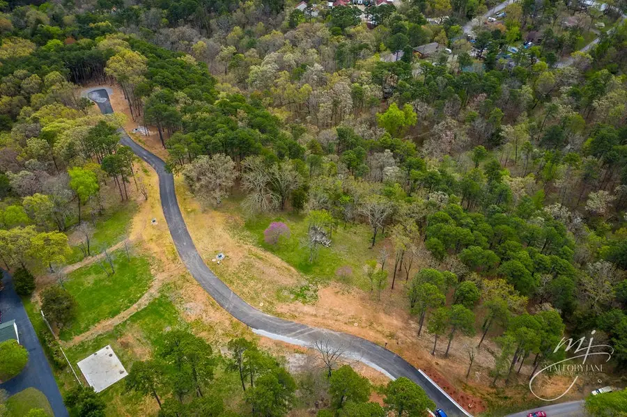 11 Pine Crest Lane, Eureka Springs, AR 72632 - #3
