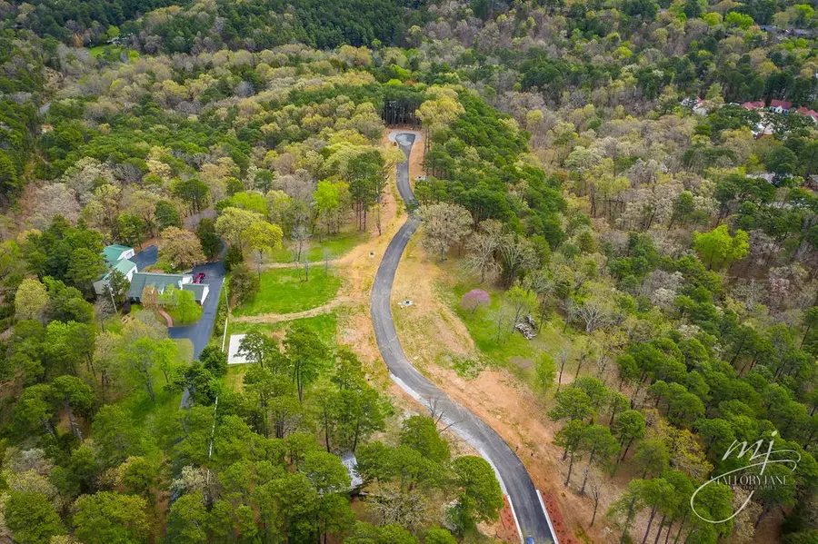 12 Pine Crest Lane, Eureka Springs, AR 72632 - #2