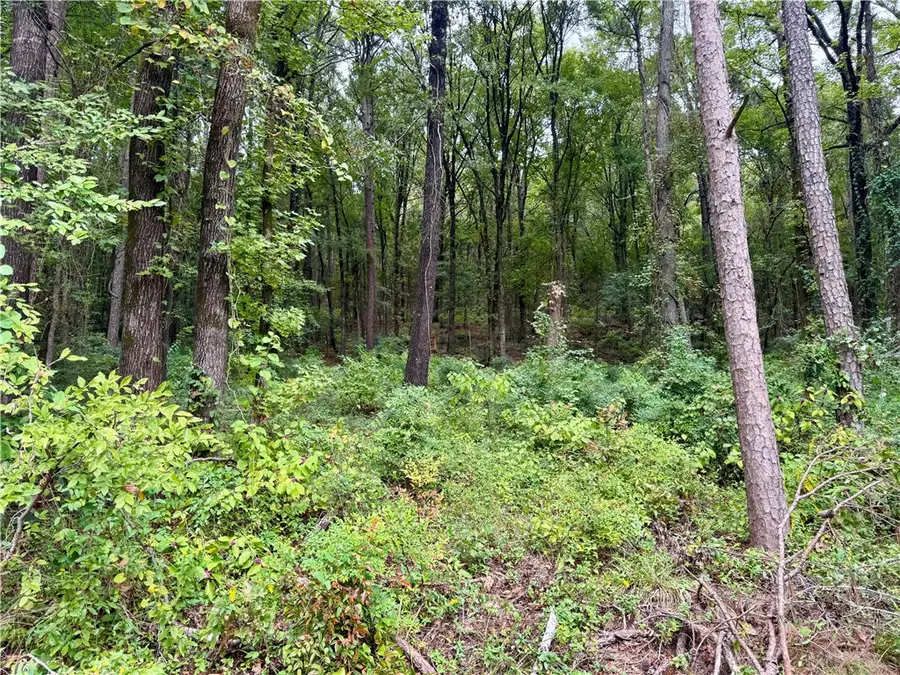 6 Block H Highland Court, Dardanelle, AR 72834 - #3