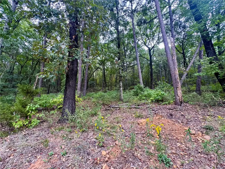 7 Block H Highland Court, Dardanelle, AR 72834 - #2