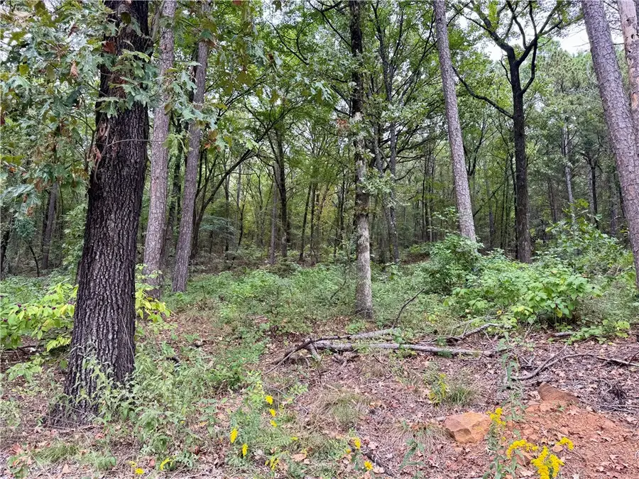 7 Block H Highland Court, Dardanelle, AR 72834 - #3