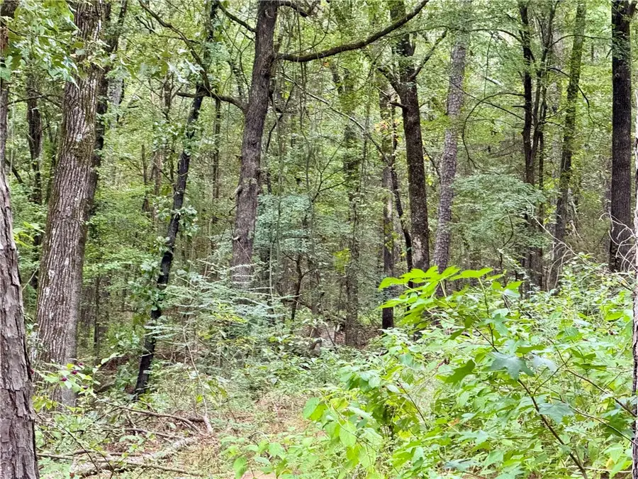 8 Block H Highland Court, Dardanelle, AR 72834 - #3