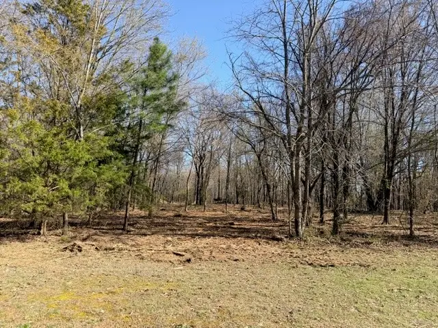 13668 Tally Gate Road, Springdale, AR 72762 - #2