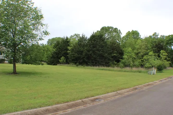 various lots Springflower, Bull Shoals, AR 72619 - #3