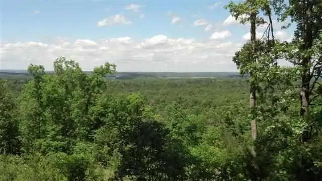 Part of Lot 10 Mc 8072, Flippin, AR 72634 - #2