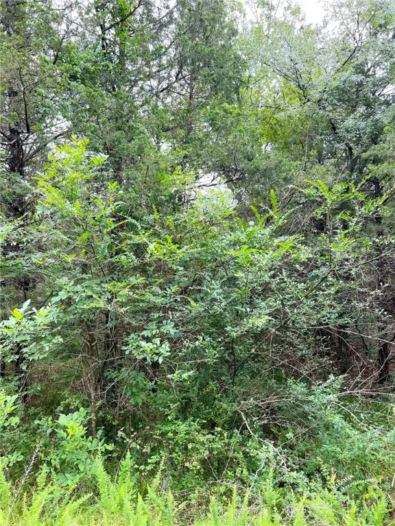 TBD Cedar Lane, Diamond City, AR 72644