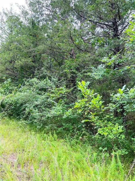 TBD Cedar Lane, Diamond City, AR 72644 - #2