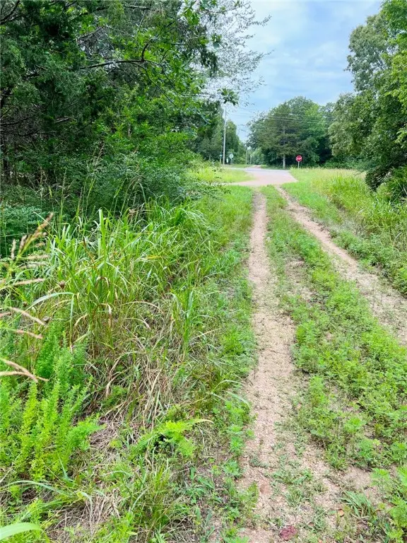 TBD Cedar Lane, Diamond City, AR 72644 - #3