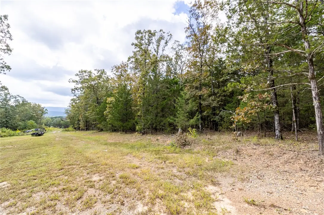 527 Thompson Bay Road, New Blaine, AR 72851 - #1
