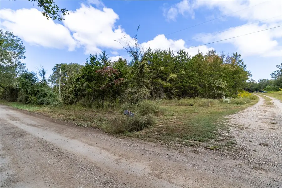527 Thompson Bay Road, New Blaine, AR 72851 - #3