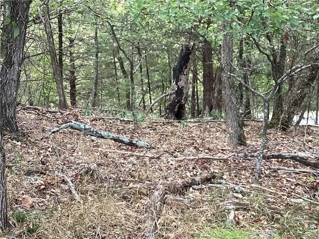 LOT 93 Oak Leaf Circle, Garfield, AR 72732 - #1