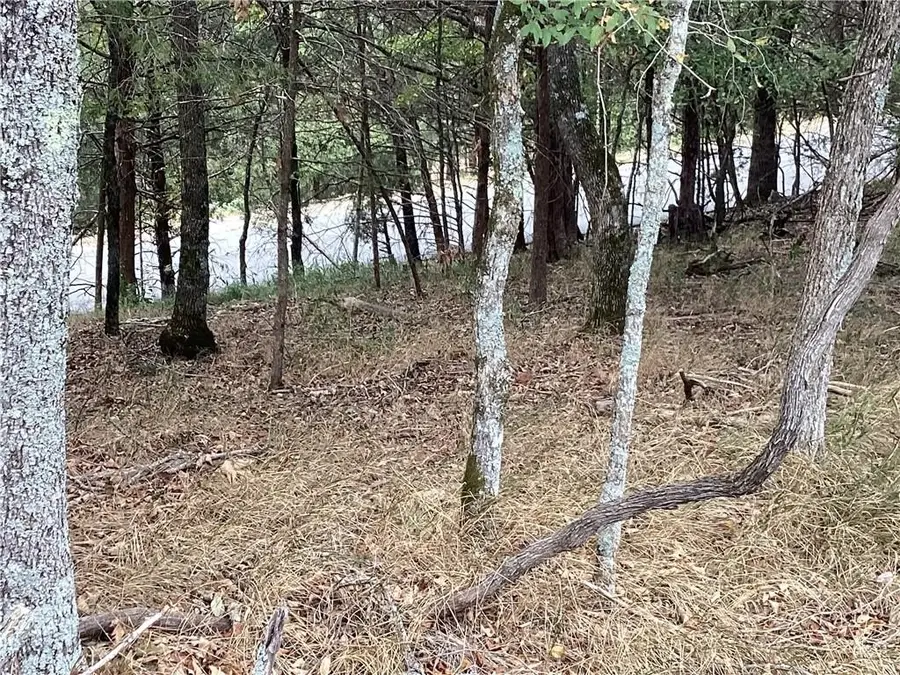 LOT 93 Oak Leaf Circle, Garfield, AR 72732 - #3