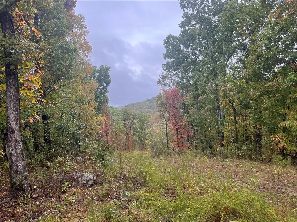 TBD Pierson Road, Prairie Grove, AR 72753 - #1