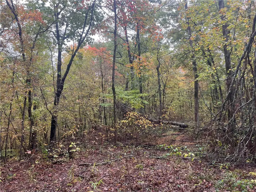 TBD Pierson Road, Prairie Grove, AR 72753 - #3