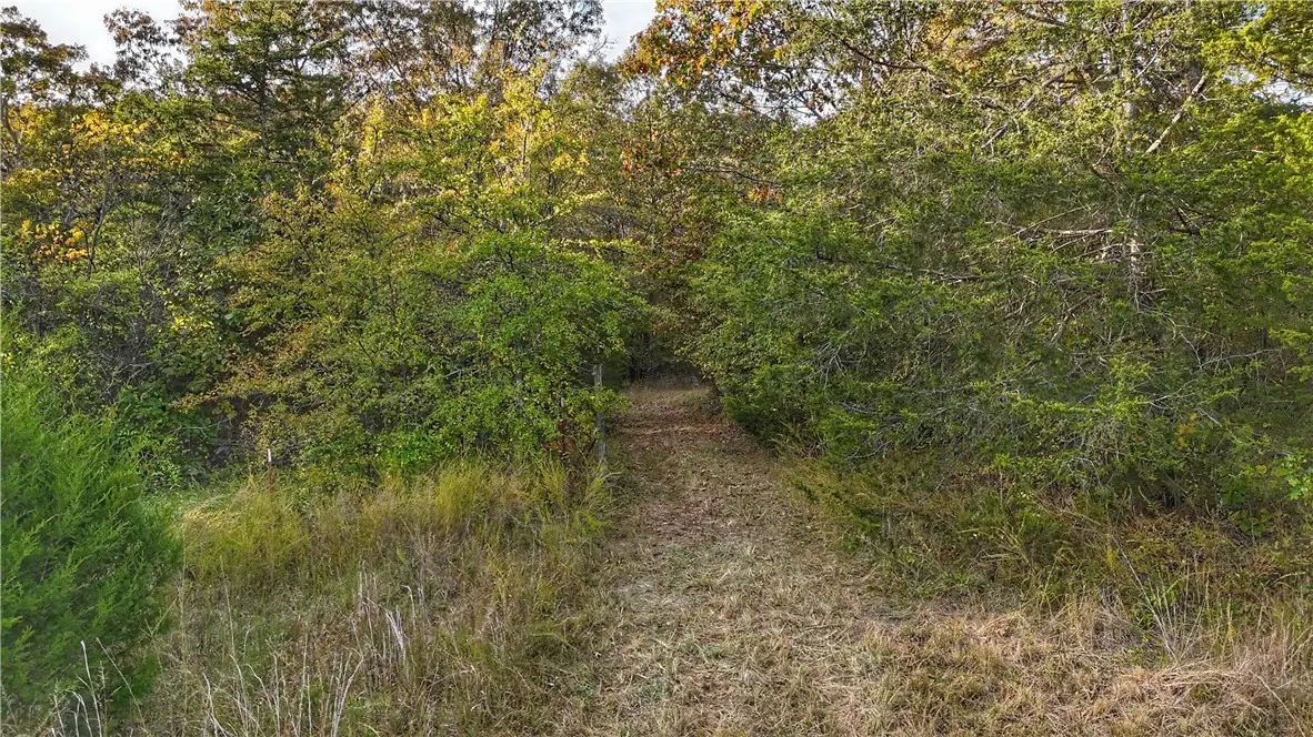 211 Nc 3600, Western Grove, AR 72685 - #1