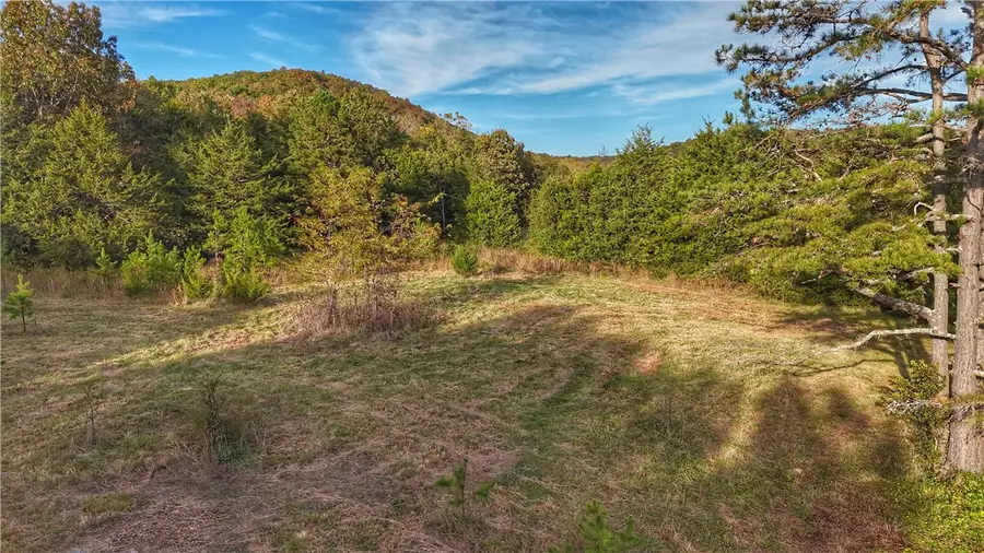 211 Nc 3600, Western Grove, AR 72685 - #3