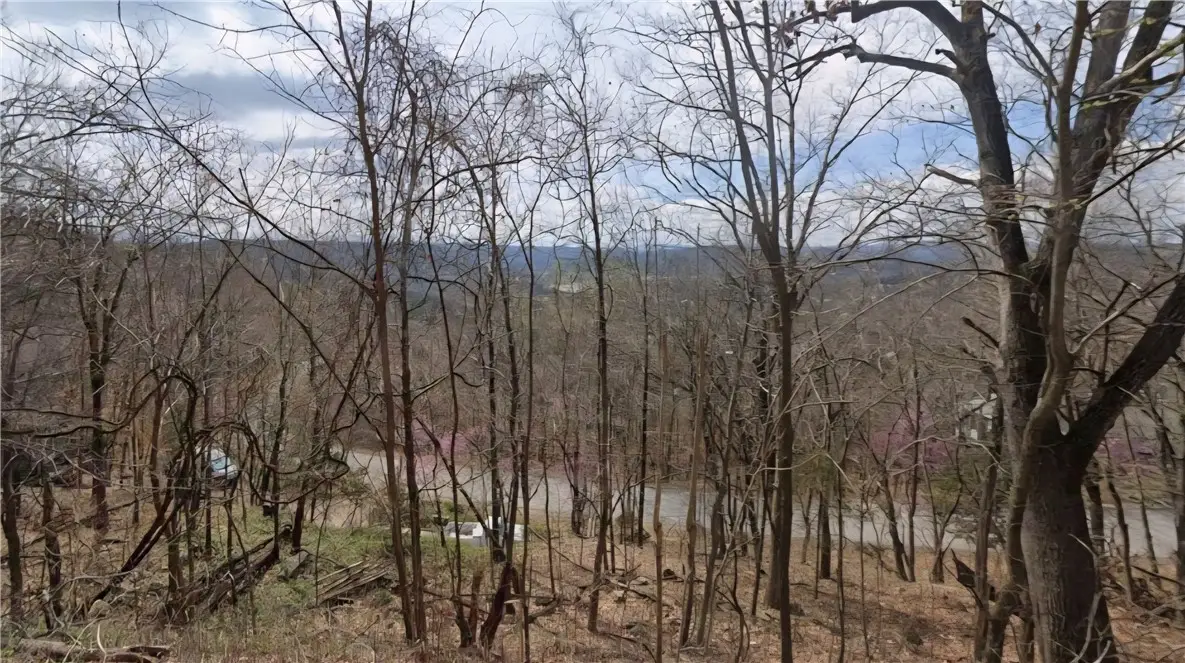 296 Holiday Island Drive, Holiday Island, AR 72631 - #1