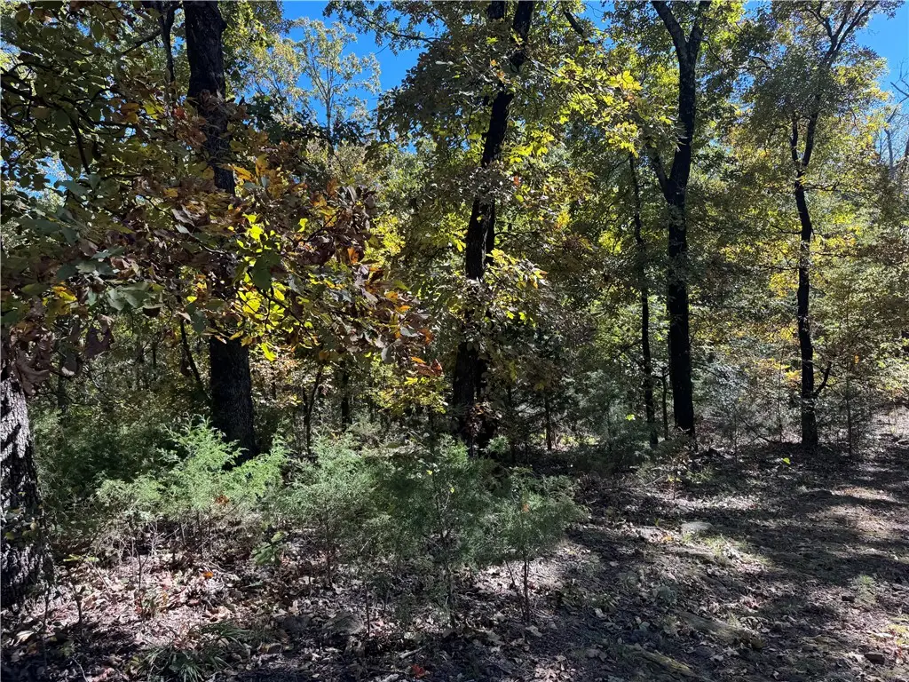 1 W 867 Road, Cookson, OK 74451 - #1
