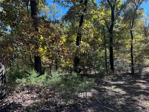 1 W 867 Road, Other OK, OK 74451