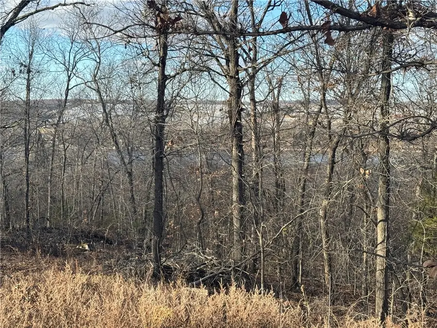 5 W 867 Road, Cookson, OK 74451 - #2