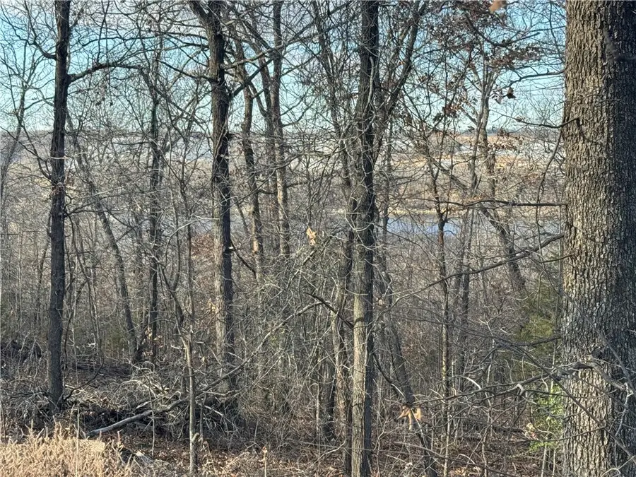 6 W 867 Road, Cookson, OK 74451 - #3