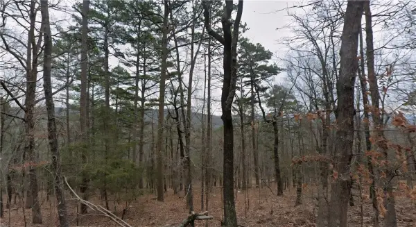 Lot 23-24 Chelsea Court, Fairfield Bay, AR 72088