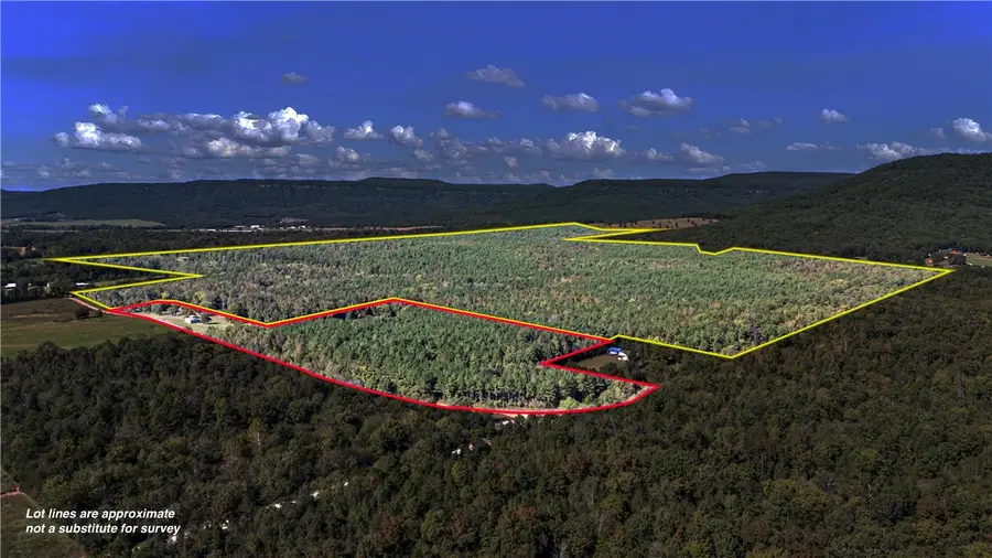 County Rd 4200, Clarksville, AR 72830 - #2