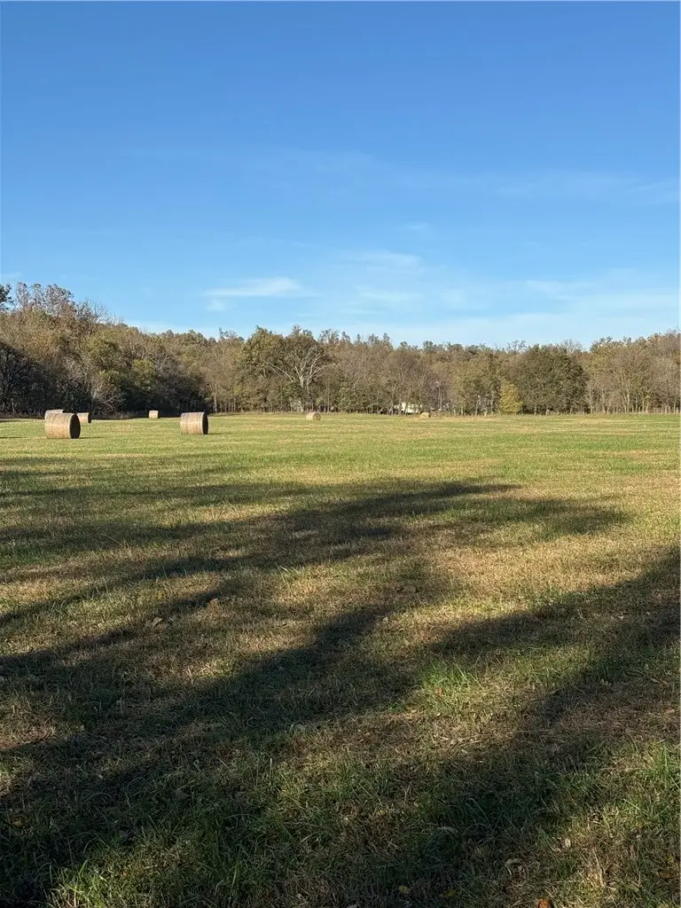 63 acres Meadowlark Wc 364/madison 7304 Road, Fayetteville, AR 72703 - #3