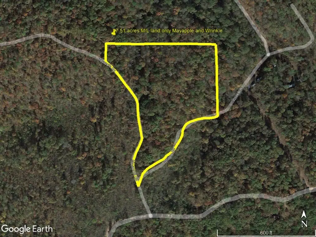 229 Mayapple Road, Harriet, AR 72639 - #1