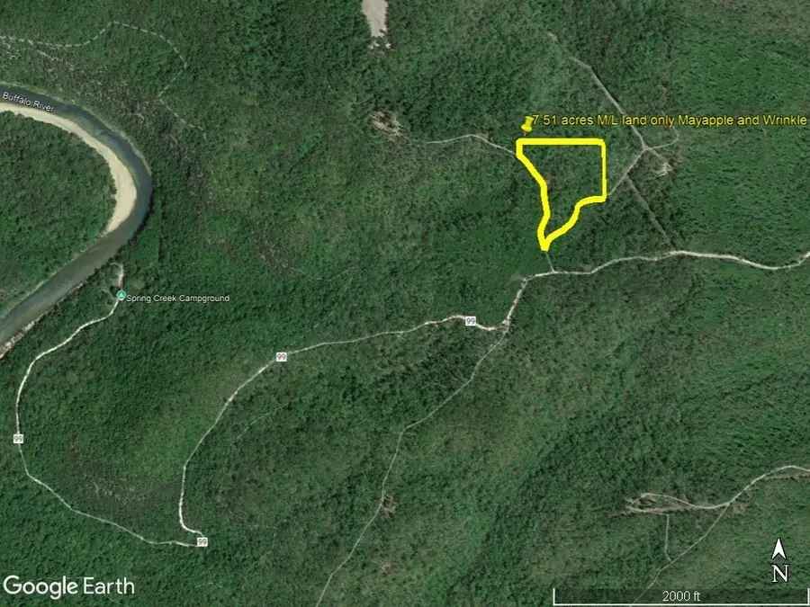 229 Mayapple Road, Harriet, AR 72639 - #2