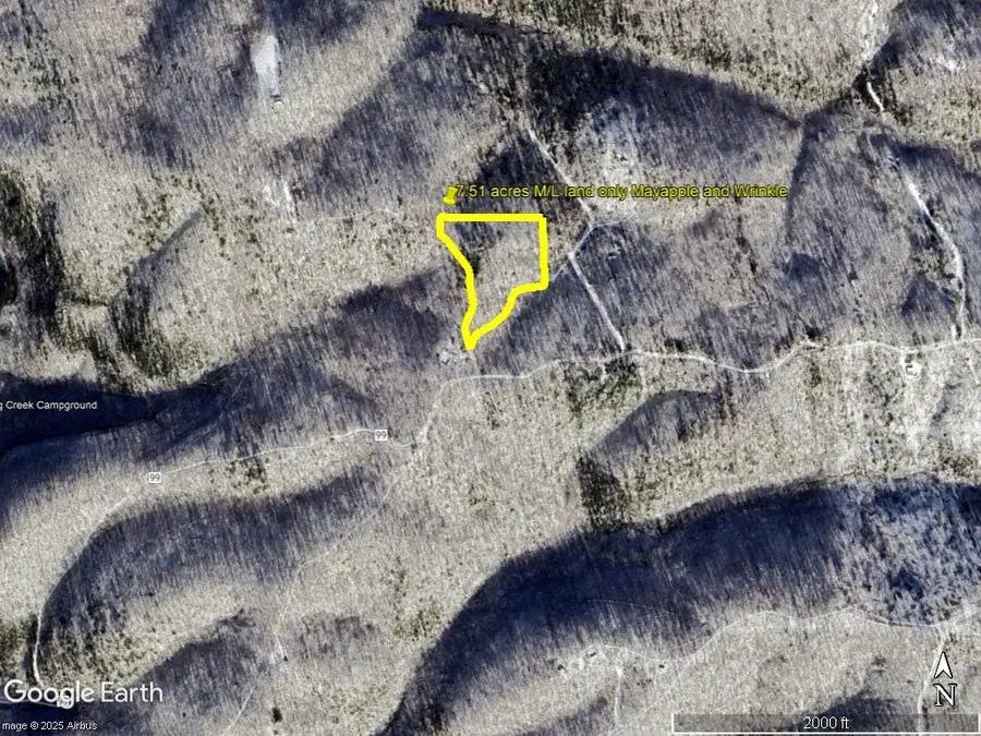 229 Mayapple Road, Harriet, AR 72639 - #3