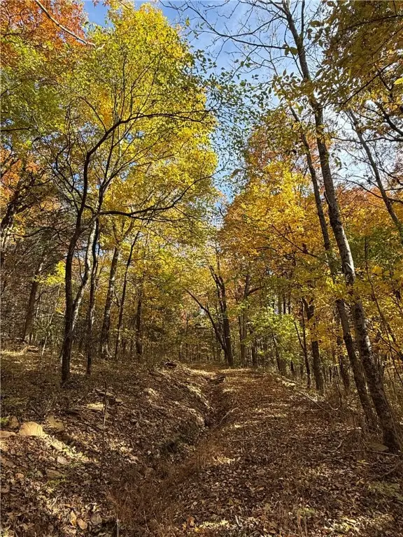 14710 Summer Shade Road, West Fork, AR 72774