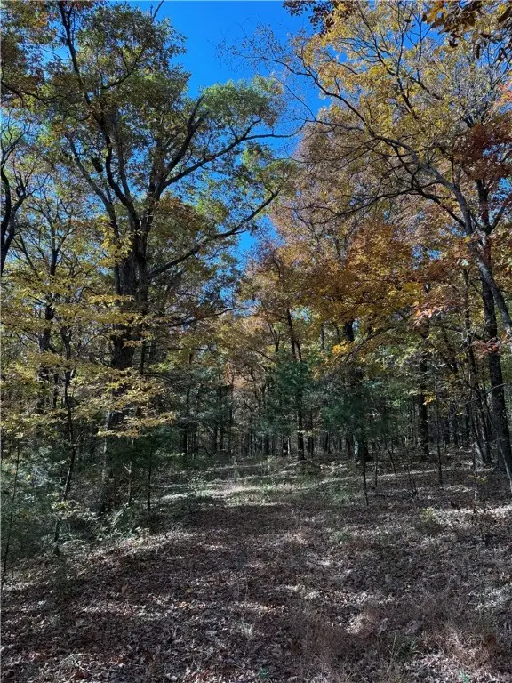 14710 Summer Shade Road, West Fork, AR 72774 - #2