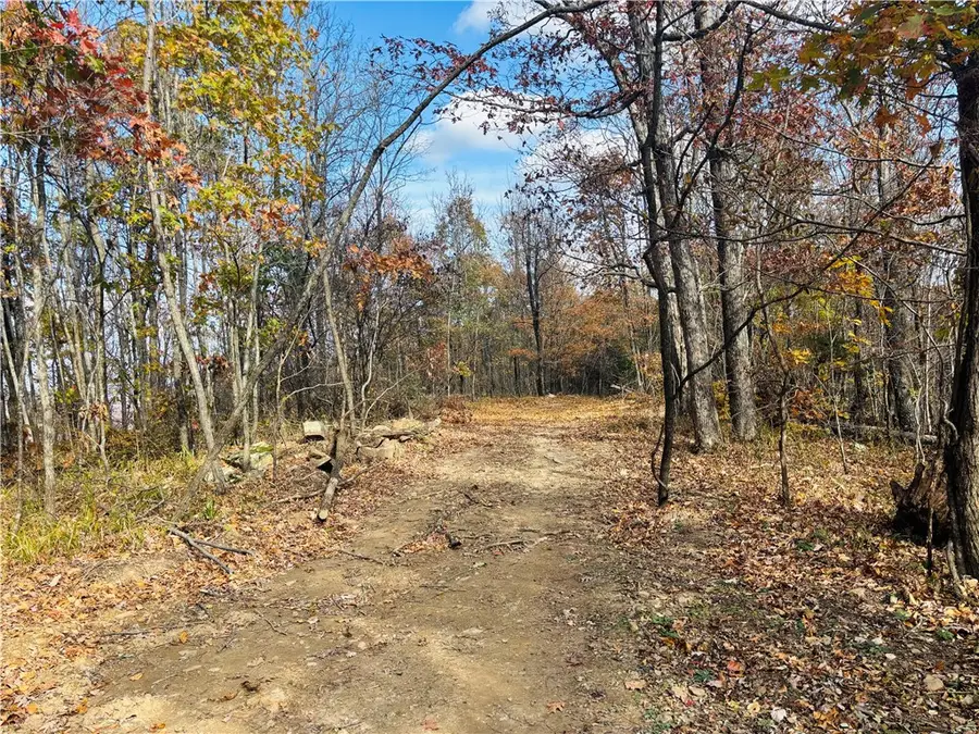 TBD Madison 4275 Road, Elkins, AR 72727 - #2