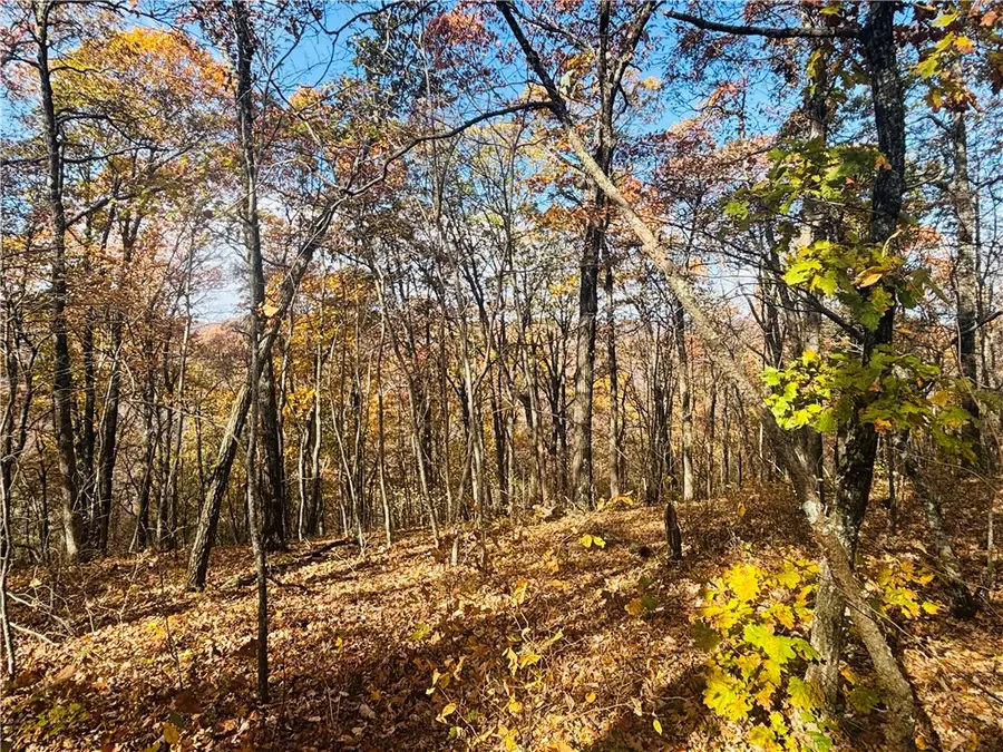 TBD Madison 4275 Road, Elkins, AR 72727 - #3