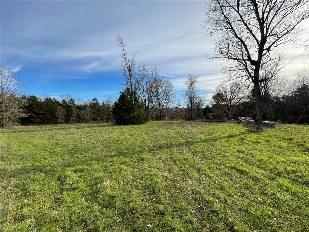 Falcon Lane, Berryville, AR 72616 - #1