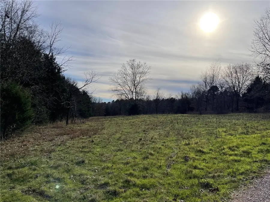 Falcon Lane, Berryville, AR 72616 - #2
